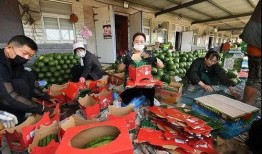 网红吃瓜群众图片大全,趣味横生的瞬间捕捉